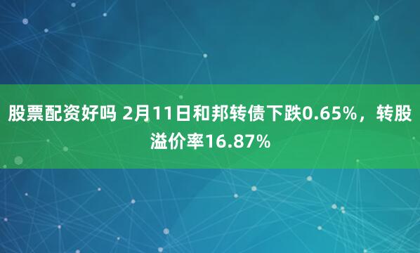 股票配资好吗 2月11日和邦转债下跌0.65%，转股溢价率16.87%