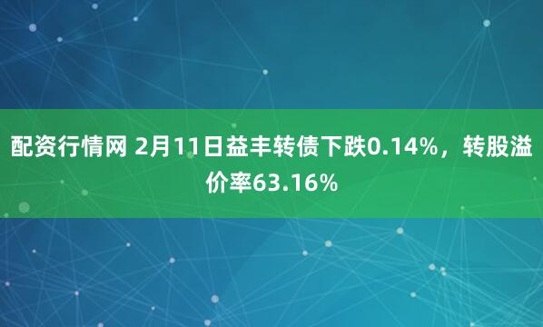 配资行情网 2月11日益丰转债下跌0.14%，转股溢价率63.16%