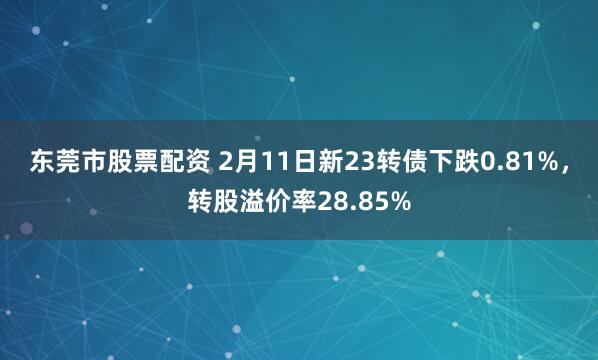 东莞市股票配资 2月11日新23转债下跌0.81%，转股溢价率28.85%