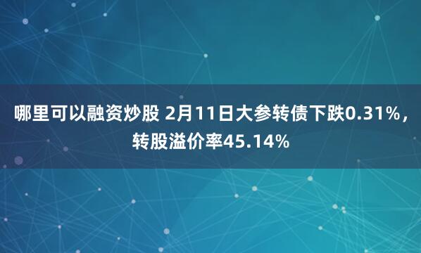 哪里可以融资炒股 2月11日大参转债下跌0.31%，转股溢价率45.14%