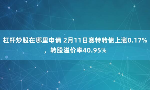 杠杆炒股在哪里申请 2月11日赛特转债上涨0.17%，转股溢价率40.95%