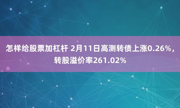 怎样给股票加杠杆 2月11日高测转债上涨0.26%，转股溢价率261.02%