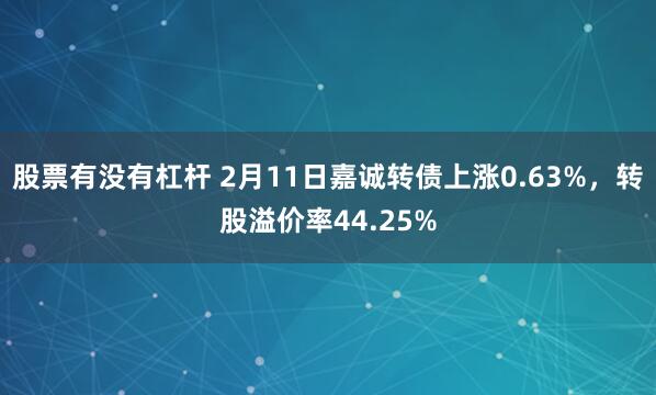 股票有没有杠杆 2月11日嘉诚转债上涨0.63%，转股溢价率44.25%