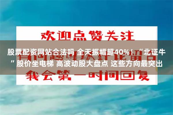 股票配资网站合法吗 全天振幅超40%！“北证牛”股价坐电梯 高波动股大盘点 这些方向最突出