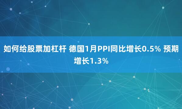 如何给股票加杠杆 德国1月PPI同比增长0.5% 预期增长1.3%