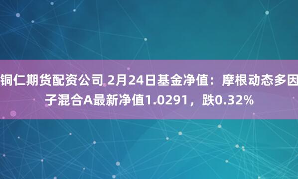 铜仁期货配资公司 2月24日基金净值：摩根动态多因子混合A最新净值1.0291，跌0.32%