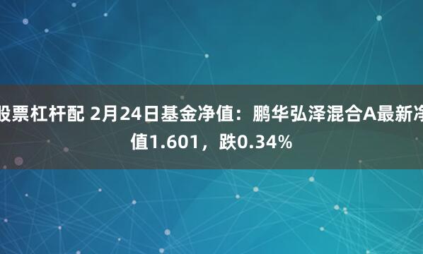 股票杠杆配 2月24日基金净值：鹏华弘泽混合A最新净值1.601，跌0.34%