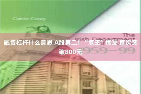 融资杠杆什么意思 A股第二！“寒王”爆发 首次突破800元