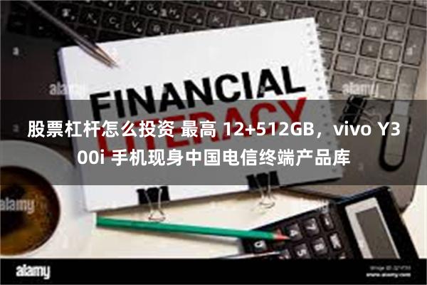 股票杠杆怎么投资 最高 12+512GB，vivo Y300i 手机现身中国电信终端产品库