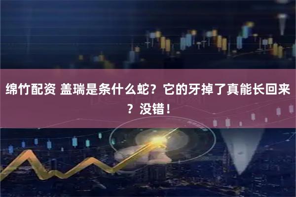 绵竹配资 盖瑞是条什么蛇？它的牙掉了真能长回来？没错！
